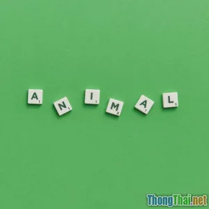 Từ vựng tiếng Anh chủ đề học tập Xu hướng mới cho Gen Z năm 2024