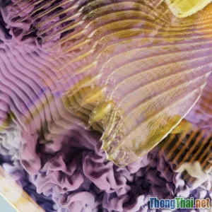 Tương lai của phim khoa học viễn tưởng Cơ hội sáng tạo giữa trí tuệ nhân tạo