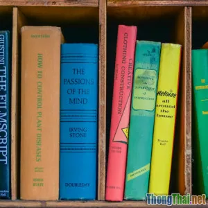 Vì sao phim khoa học viễn tưởng thường gặp khó khi đoạt giải Oscar