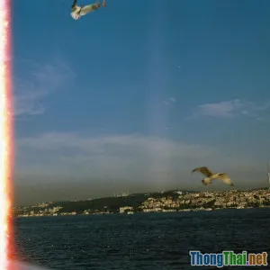 Review bộ ba phim rùng rợn Hàn Quốc làm mưa làm gió năm qua