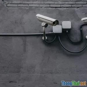 Xu hướng tuyển dụng chuyên gia an ninh mạng tại Việt Nam