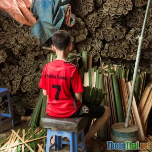 Xu hướng xây nhà thân thiện môi trường cho thú cưng liệu có khả thi ở Việt Nam